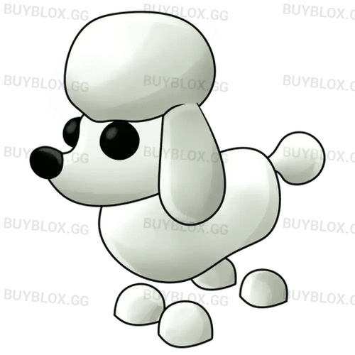 NFR Poodle