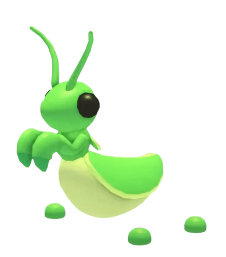 NFR Praying Mantis