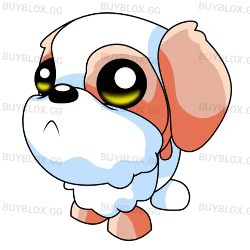 NFR Shih Tzu