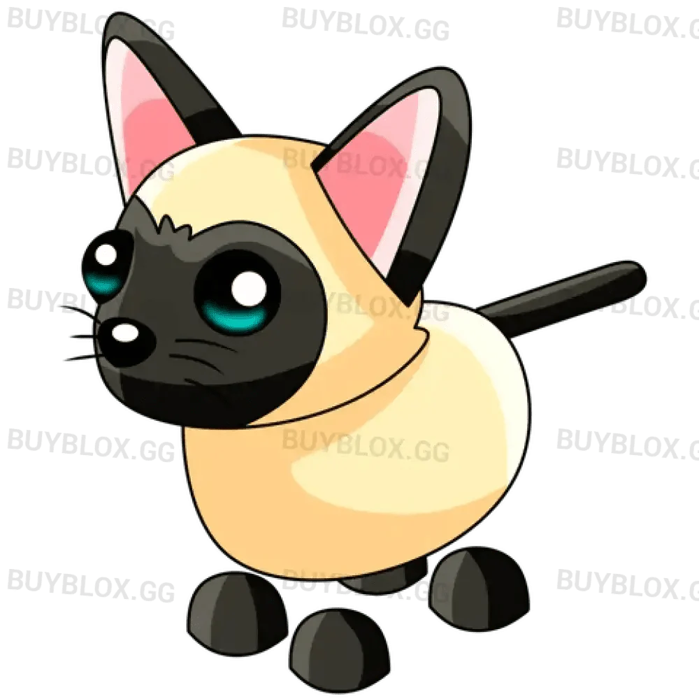 NFR Siamese Cat - Adopt Me