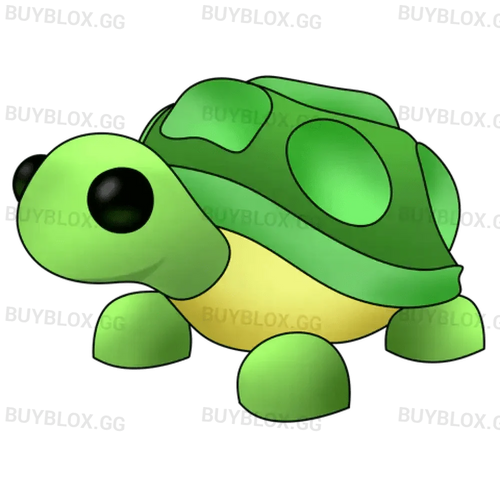 NFR Turtle