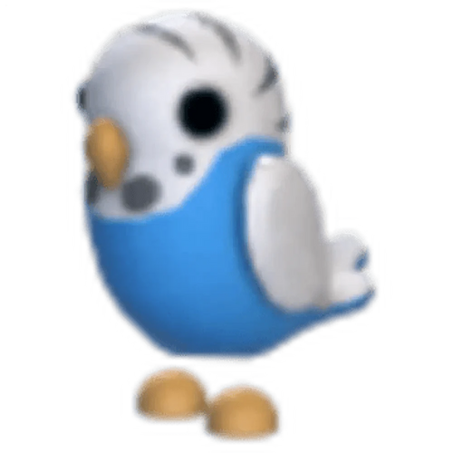 Parakeet
