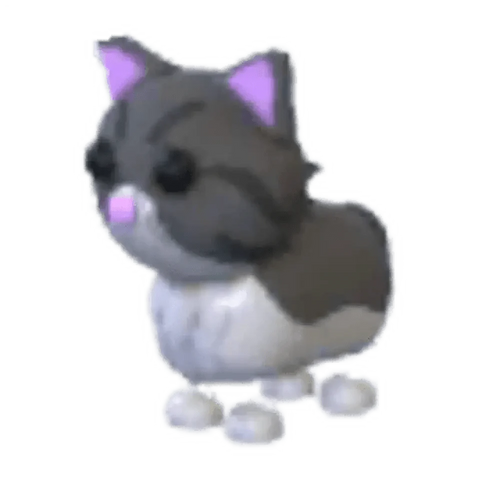 Persian Cat