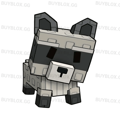 Raccoon