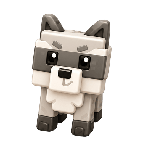 Raccoon