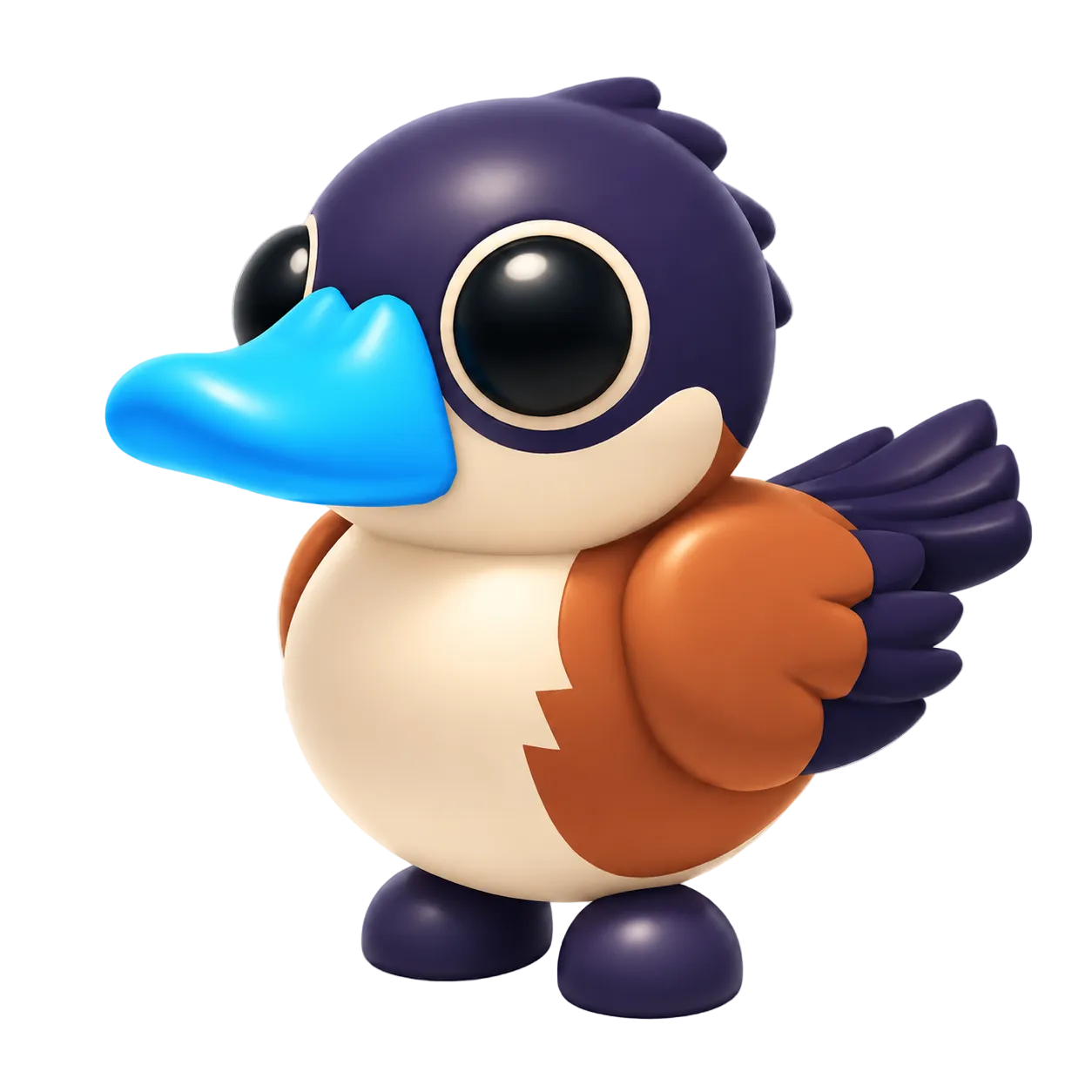 NFR Ruddy Duck