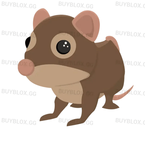 Shrew