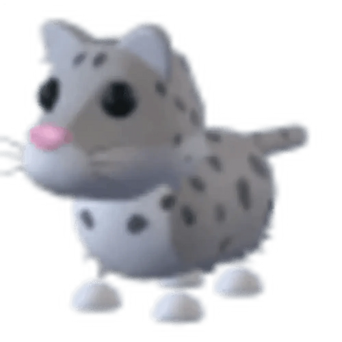 Snow Leopard